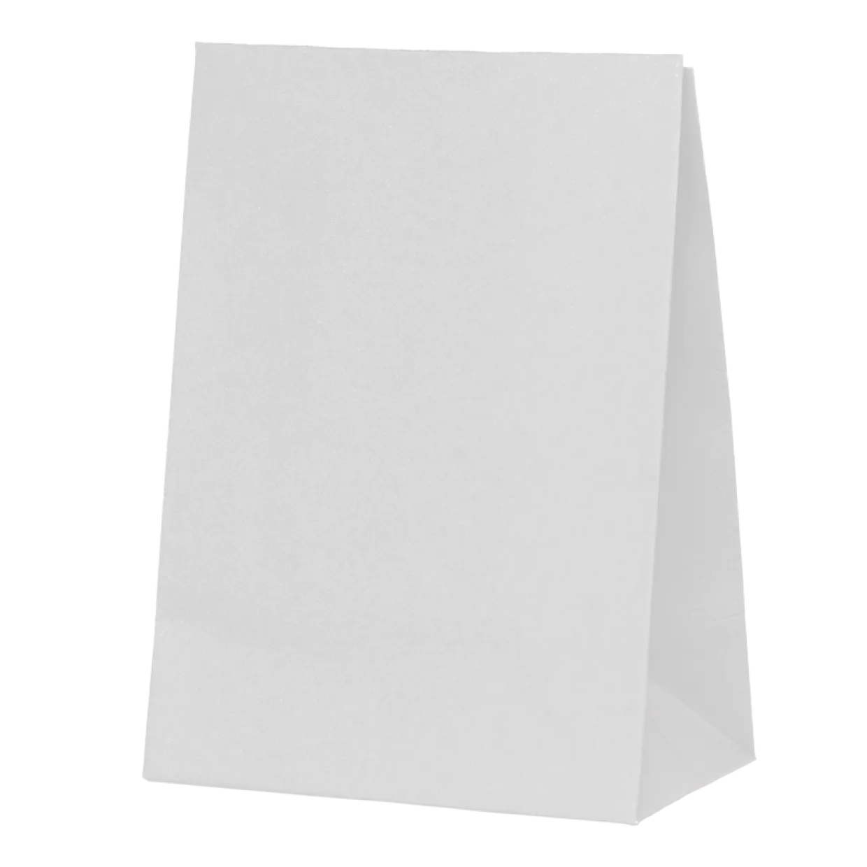 White Party Bags (10 pack)